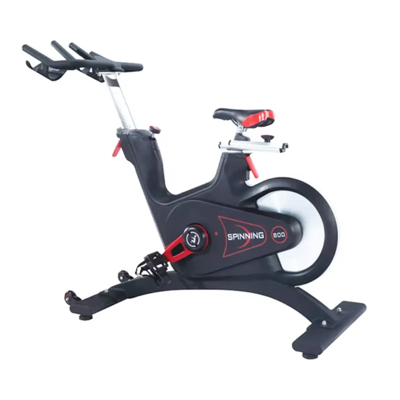 Bicicleta de Spinning Profesio - Exercise Bike Magnetic Resistance reseña y precio