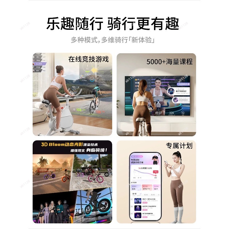 Bicicleta de spinning silencio - Exercise Bike Magnetic Resistance reseña y precio