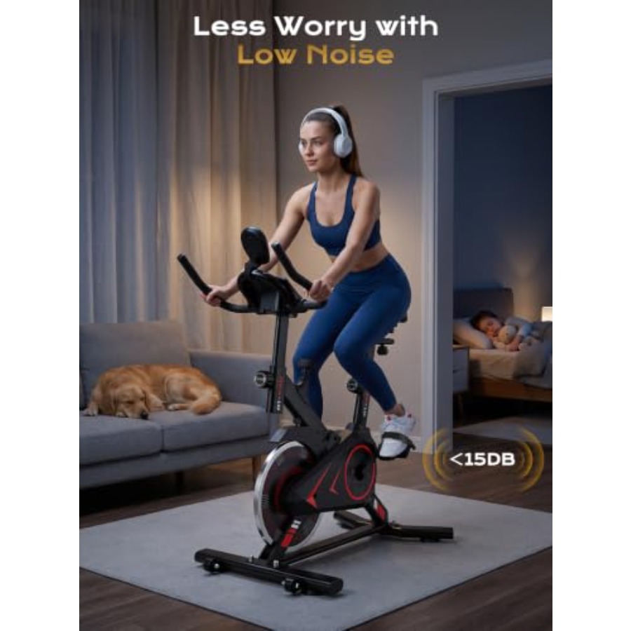 Bicicleta de ejercicio para gi - Exercise Bike Magnetic Resistance reseña y precio
